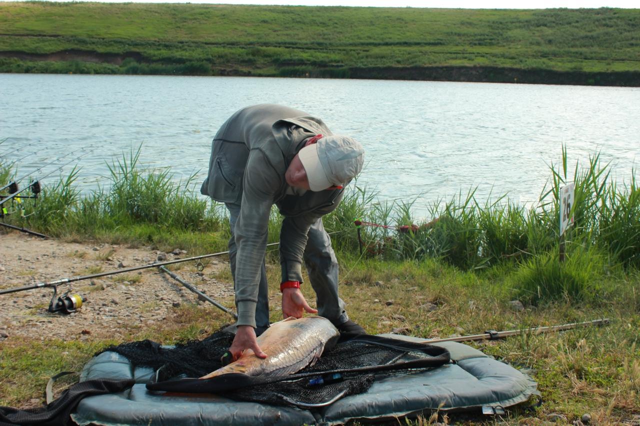 Cupa Carpbook Sulimanu 28-29 iunie 2014 - 20.JPG